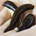 В составе нановена присутствует гирудин