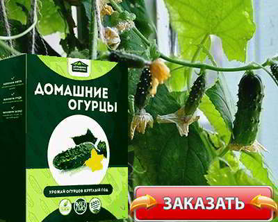 Мини ферма овощей купить