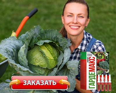 Keto Гардемакс купить в магазине.
