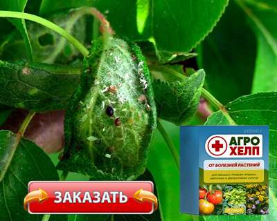 Заказать Агрохелп на официальном сайте.