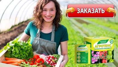 Агротенс купить в аптеке.