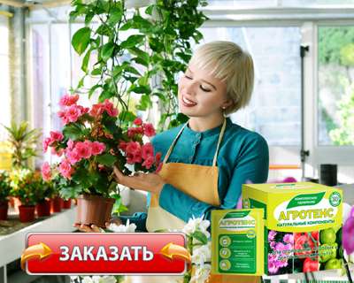 Удобрение Агротенс купить по доступной цене.