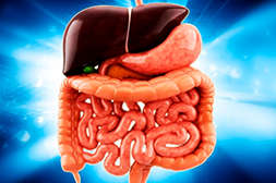 Препарат Weight Control выводит шлаки и токсины.